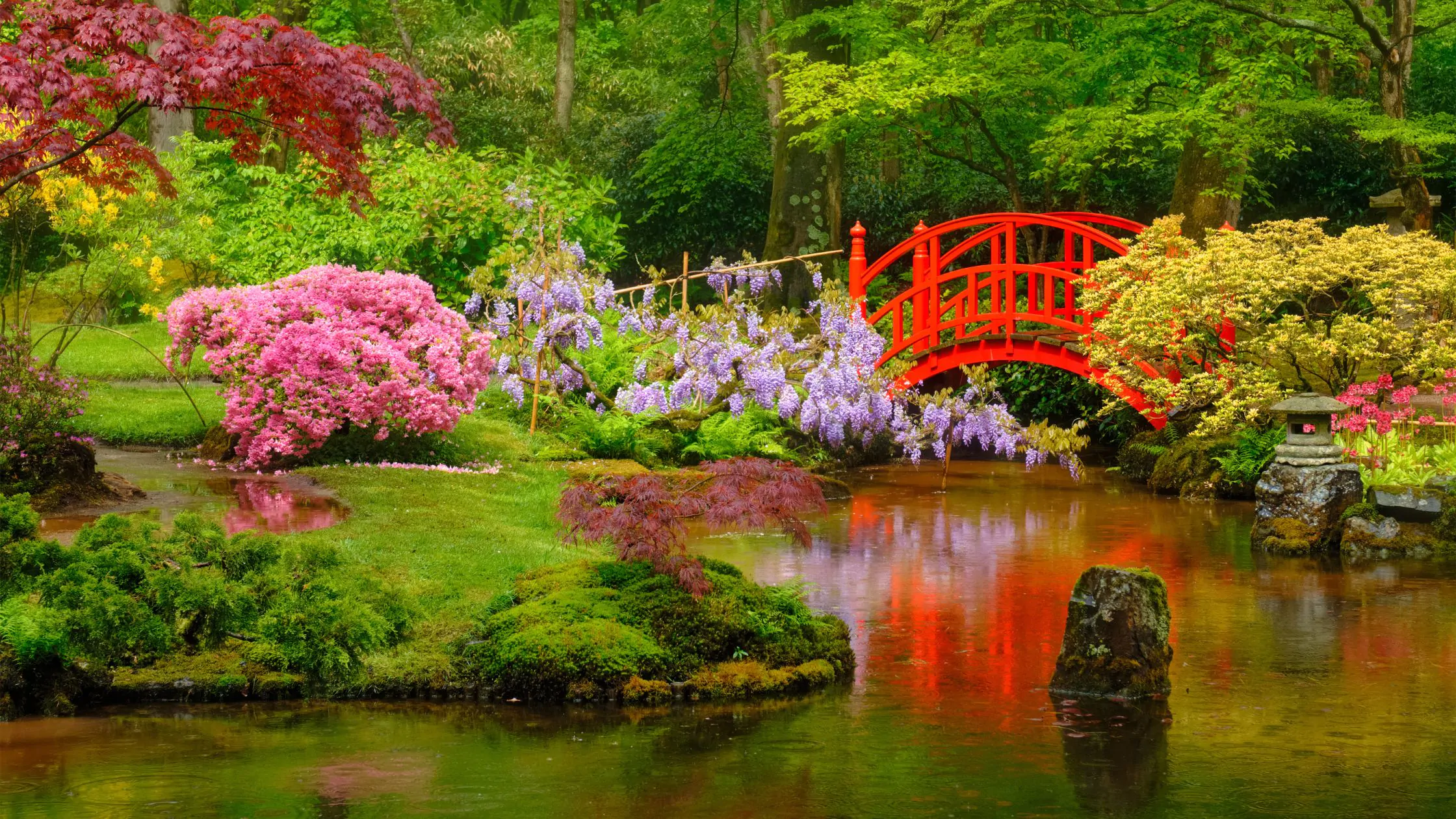 الحدائق الصينية في هولندا..