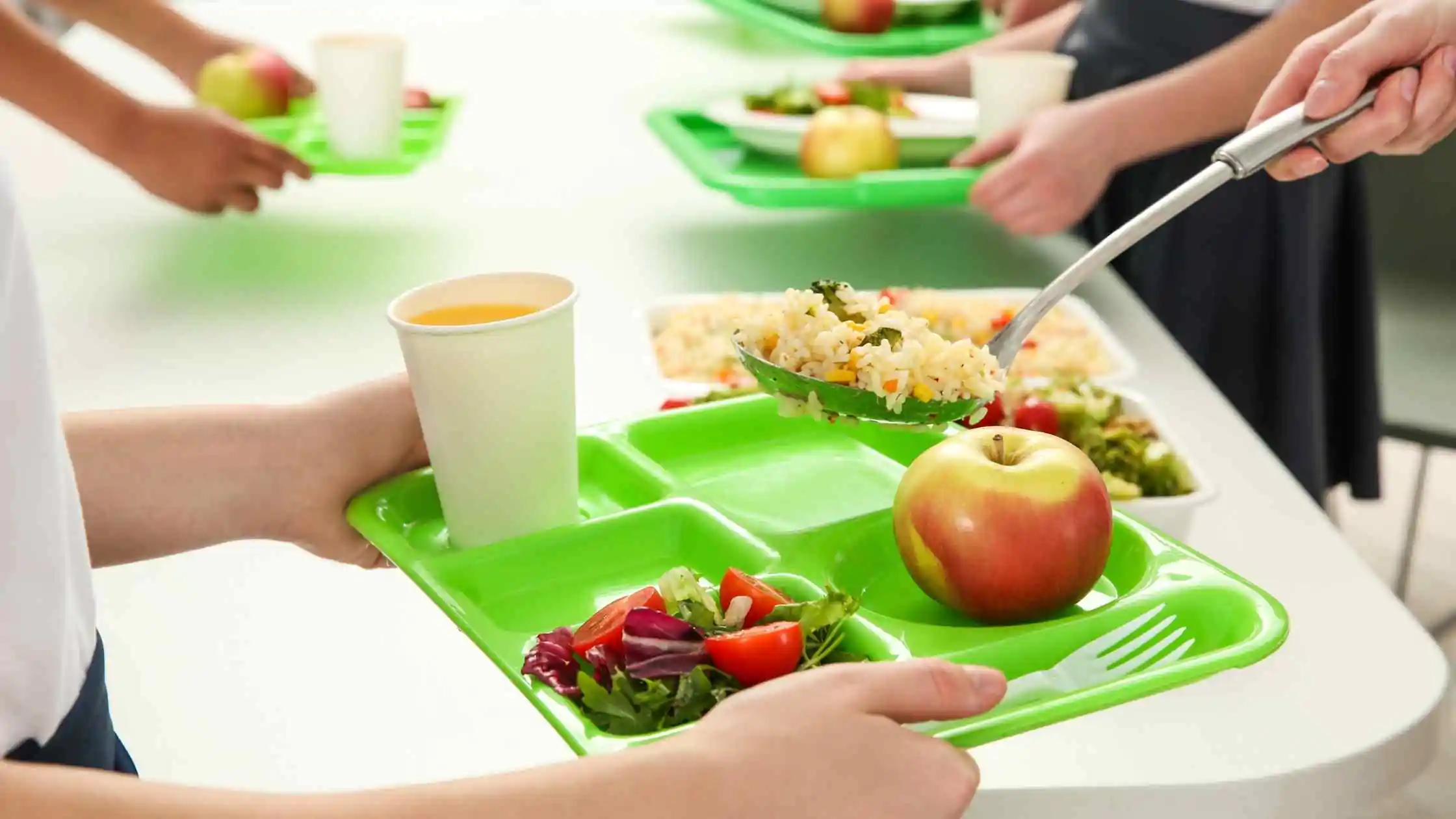 وجبات مجانية في المدارس